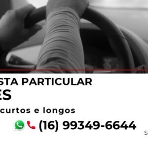 Tales Motorista Particular em Capitólio MG